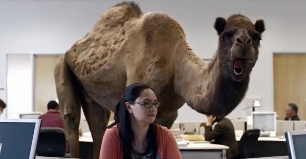 A frame of a GEICO commercial with a camel and a dark-haired actor and comedian, Lesley Tsina.