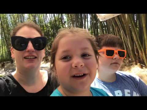 Adam and Tiffy's Disney Days VII: You Have One Too (Day 6
