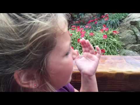 Adam and Tiffy's Disney Days III: Have It Out (Day 6)