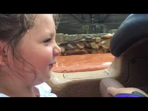 Adam and Tiffy's Disney Days III: In Summer (Day 3)