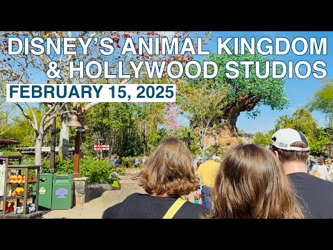 ADAM AND TIFFY’S DISNEY DAYS - Animal Kingdom & Hollywood Studios - February 15, 2025