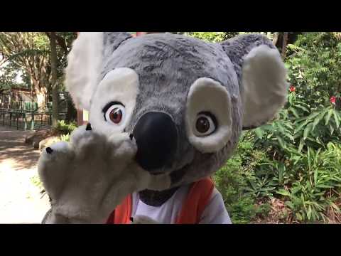 Adam Down Under: Wildlife (Day 2)