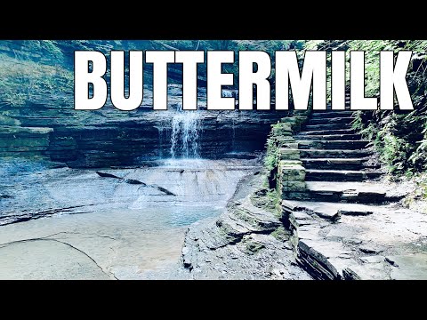 Buttermilk (Day 3)