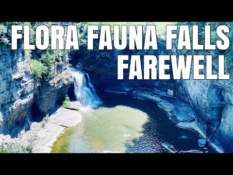 Flora Fauna Falls Farewell (Day 4)
