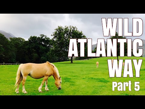 Adam and Tiffy in Ireland: Wild Atlantic Way Part 5 (Day 6)