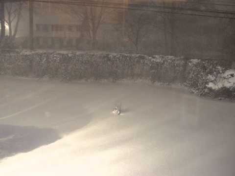 #Blizzard2016 12hr Timelapse of Our Front Yard